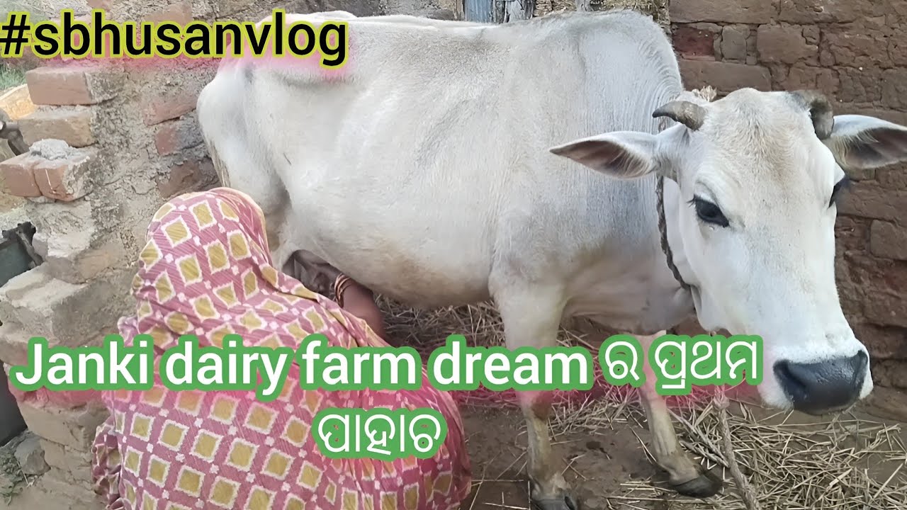 ସକାଳ ୫ ବଜାରୁ ପୁରାଣ ପଢା sambalpurivlogvideo odiavlog daily vlog family vlog #odia #vlog