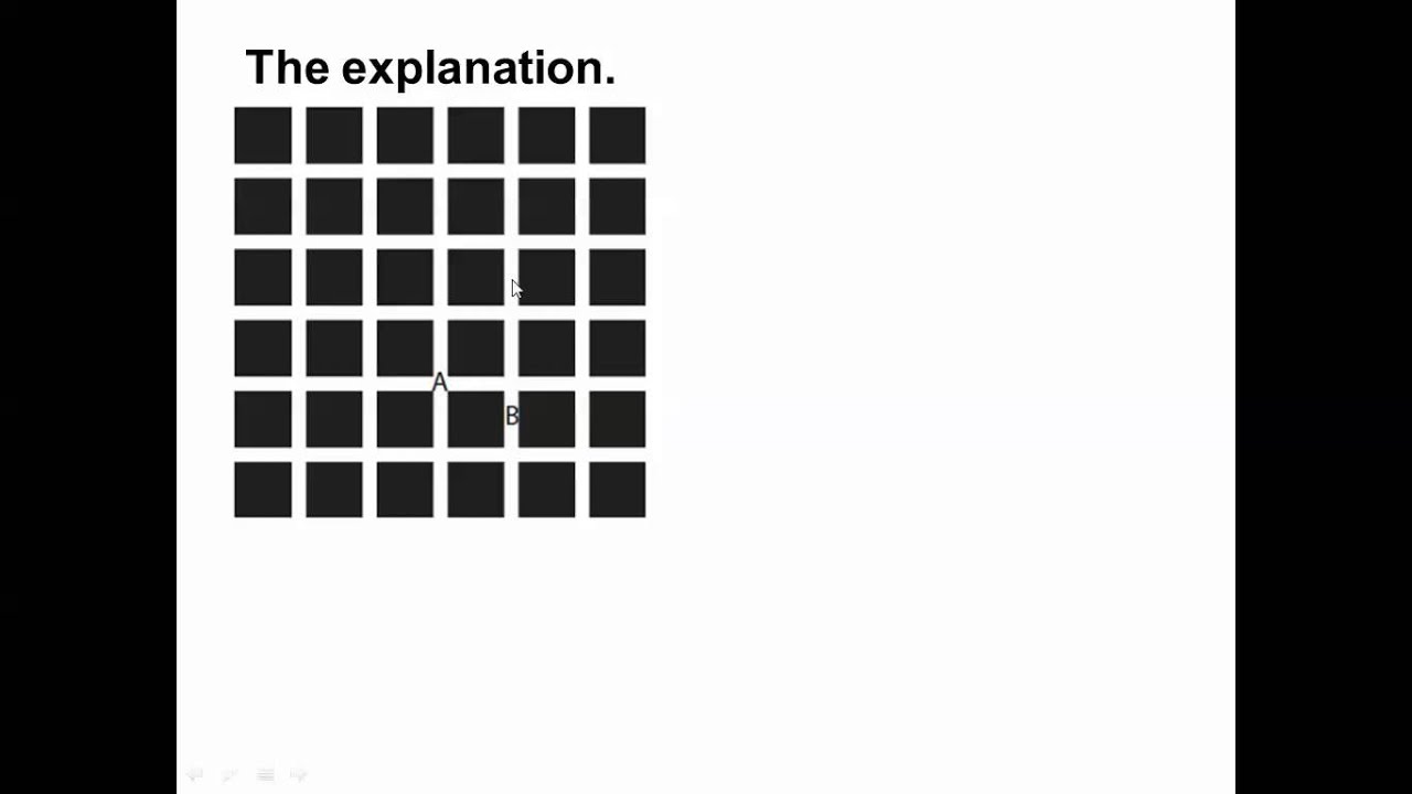 Processing Visual Stimuli, Hermann Grid, Contra lateral processing IB Biology