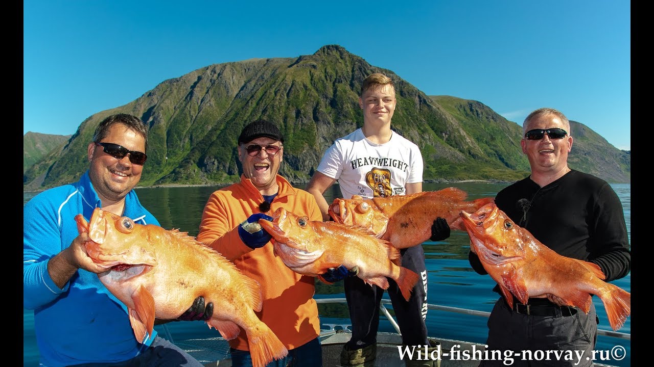 Морская рыбалка в Норвегии.Wild Fishing Norway
