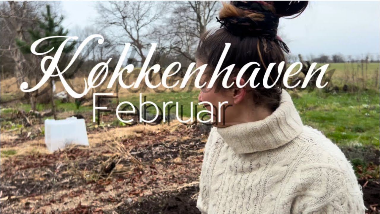 Køkkenhaven februar. Hvad kan du gøre i haven nu?