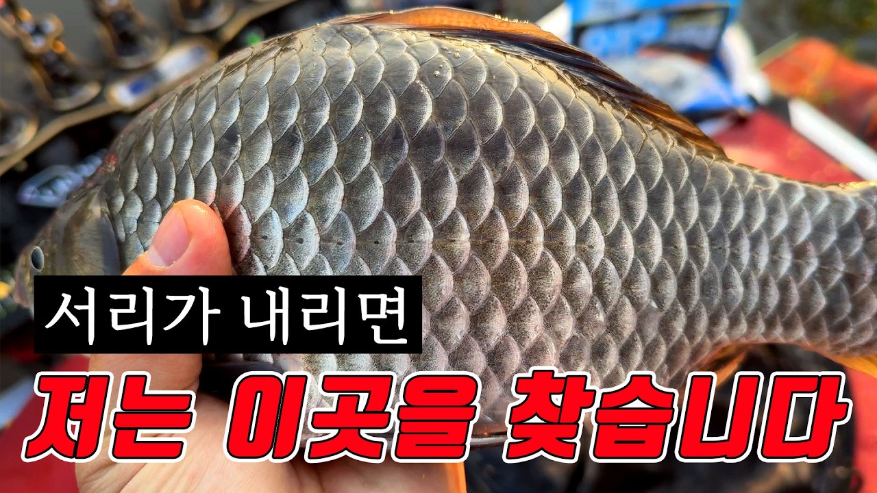 겨울이 되면 대물붕어를 토해내는 저수지!!  찬바람이 불면 바로 출발해야 하는 그곳!!