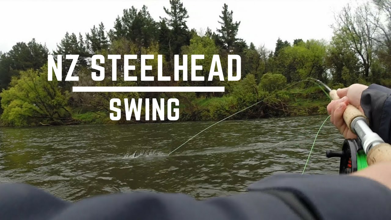 Swinging for New Zealand STEELHEAD!