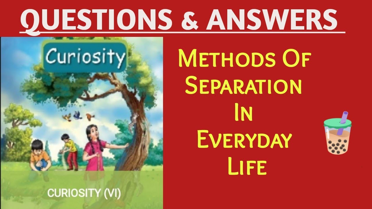 Methods Of Separation In Everyday Life |Class 6 Science Chapter 9 Question Answer | CURIOSITY |