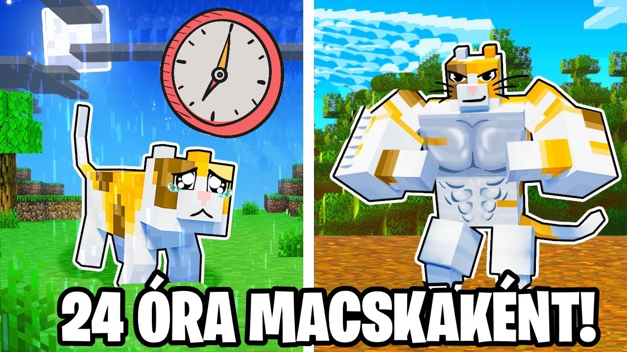 24 ÓRÁIG MACSKA LETTEM A MINECRAFTBAN!