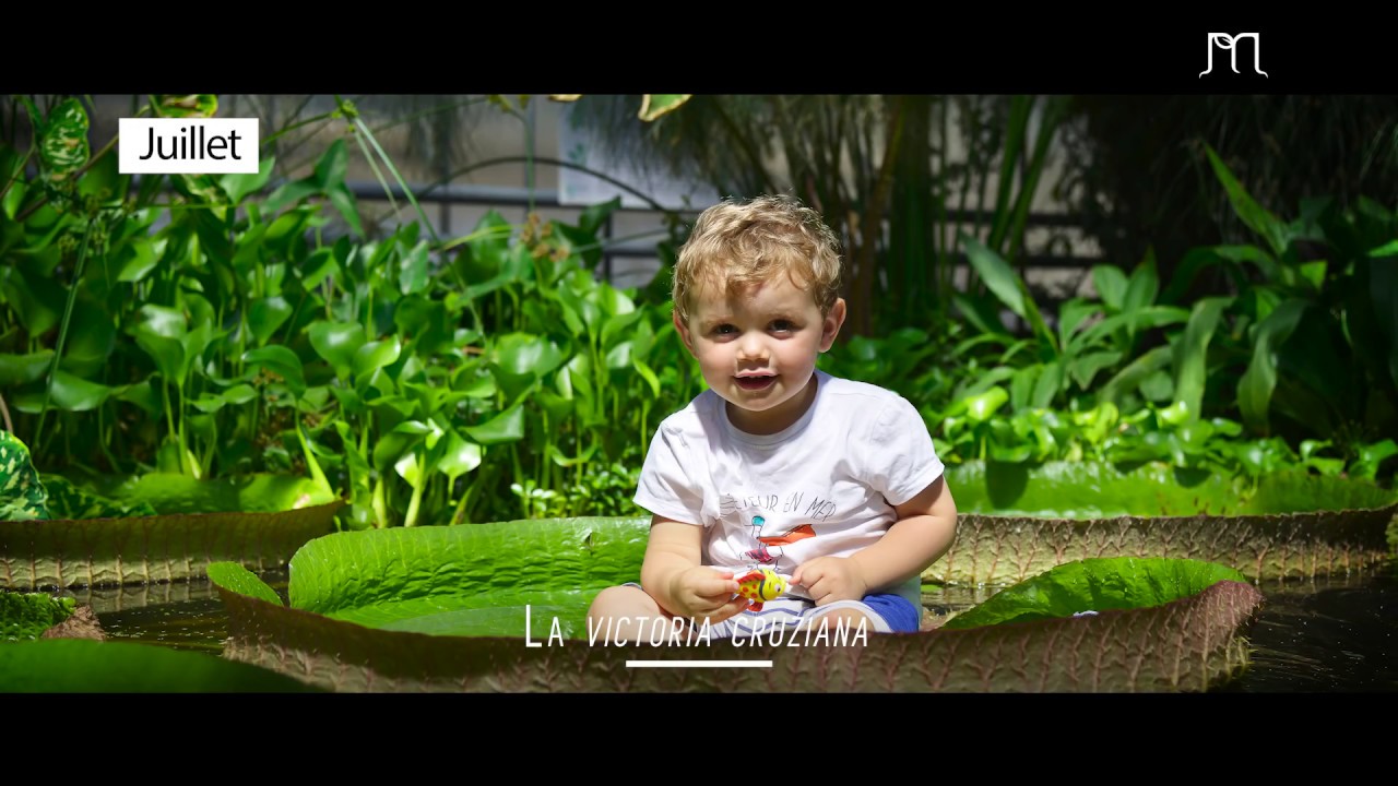 PRÉSENTATION DU JARDIN BOTANIQUE J.-M. PELT |  Ep. 1
