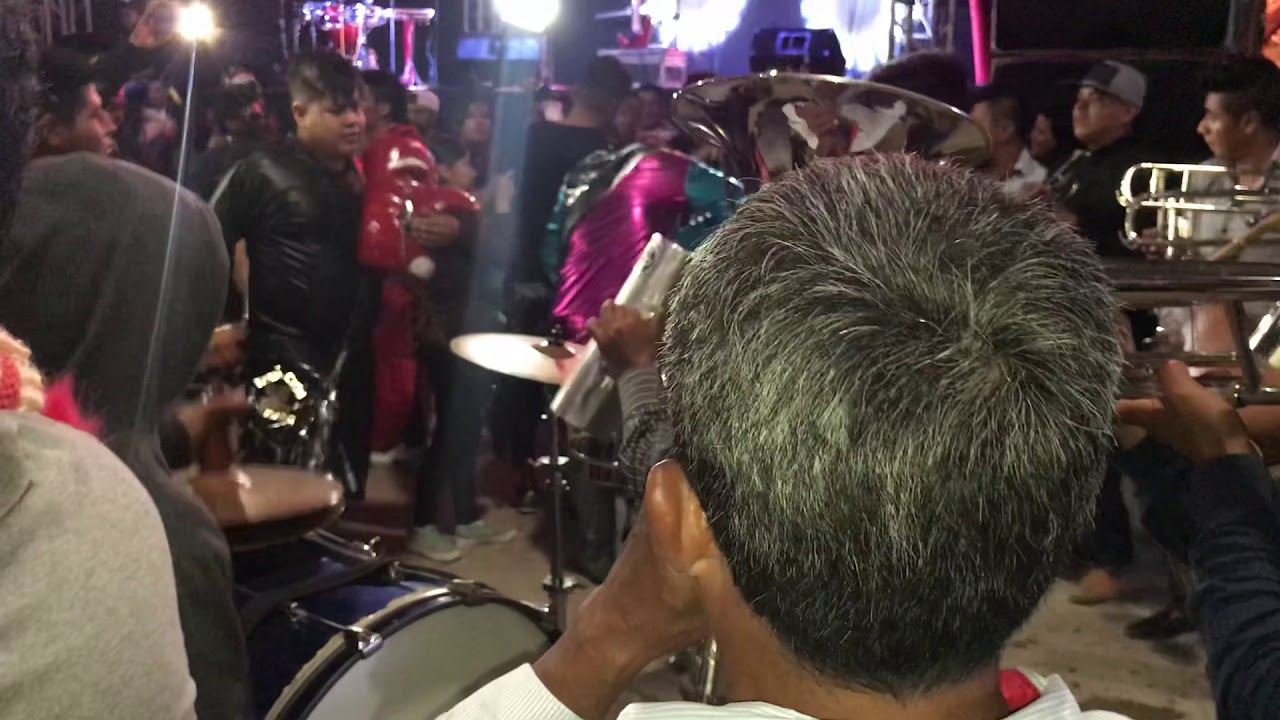 Banda santa Teresa y Banda Los Girasoles