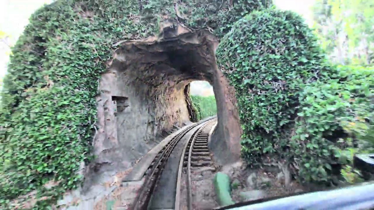 Casey  Jr. Circus Train (Daytime, Facing Backwards)- Disneyland Resort 🎪🚂