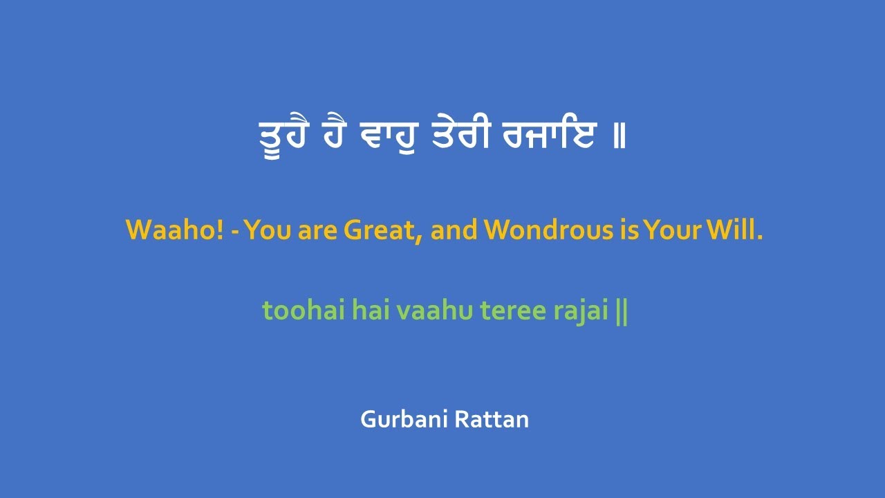 Tuhai Hai Waho Teri Rajaae - Bhai Harjinder Singh Ji (Sri Nagar Wale)