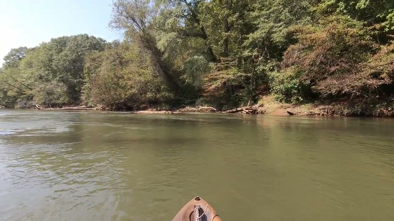Fork Island at Horseshoe Bend on the Chattahoochee River