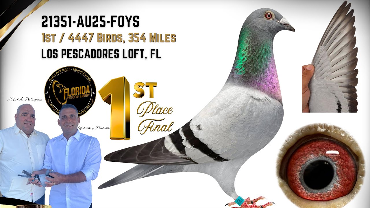 Luis Miguel Loft/ Florida Pigeon Derby Final Race 2026  congratulations to all the winners… 