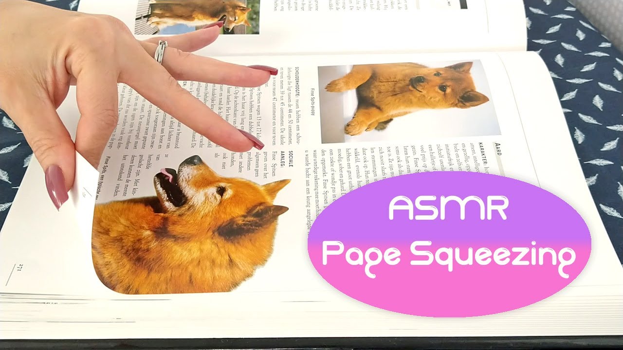 ASMR Page Squeezing Fest 💃📗 • No Talking
