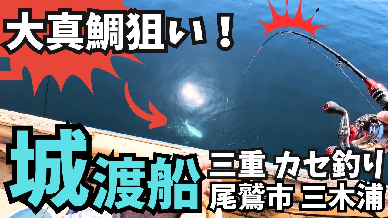 三重筏釣【城渡船】春のカセ大真鯛狙いで!?【最高！】