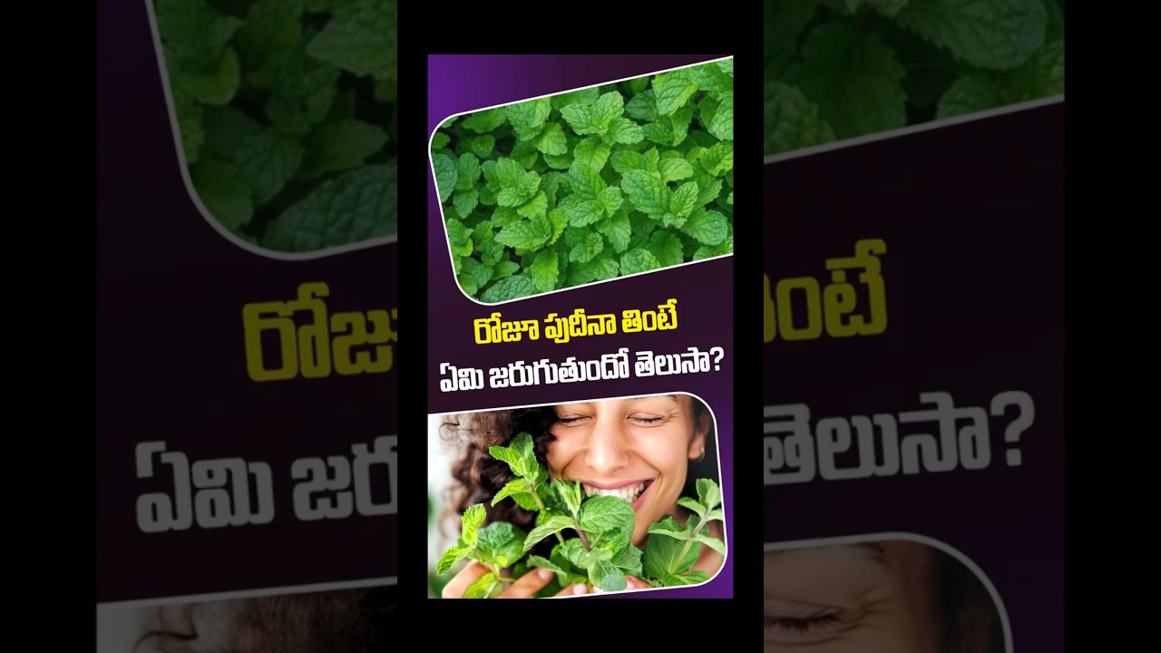 Benefits of Eating Mint Daily in Telugu || Renova Hospital #shorts #ytshorts #mint #healthtips