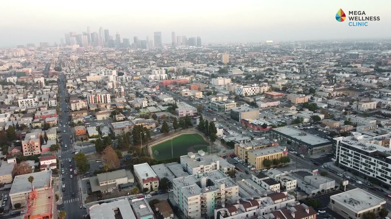 Mega Wellness Clinic_LA Branch