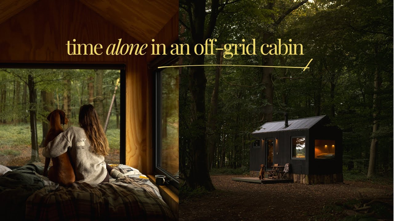 Alone in an Off-Grid Cabin in the English Countryside | Rainy Cosy Ambience