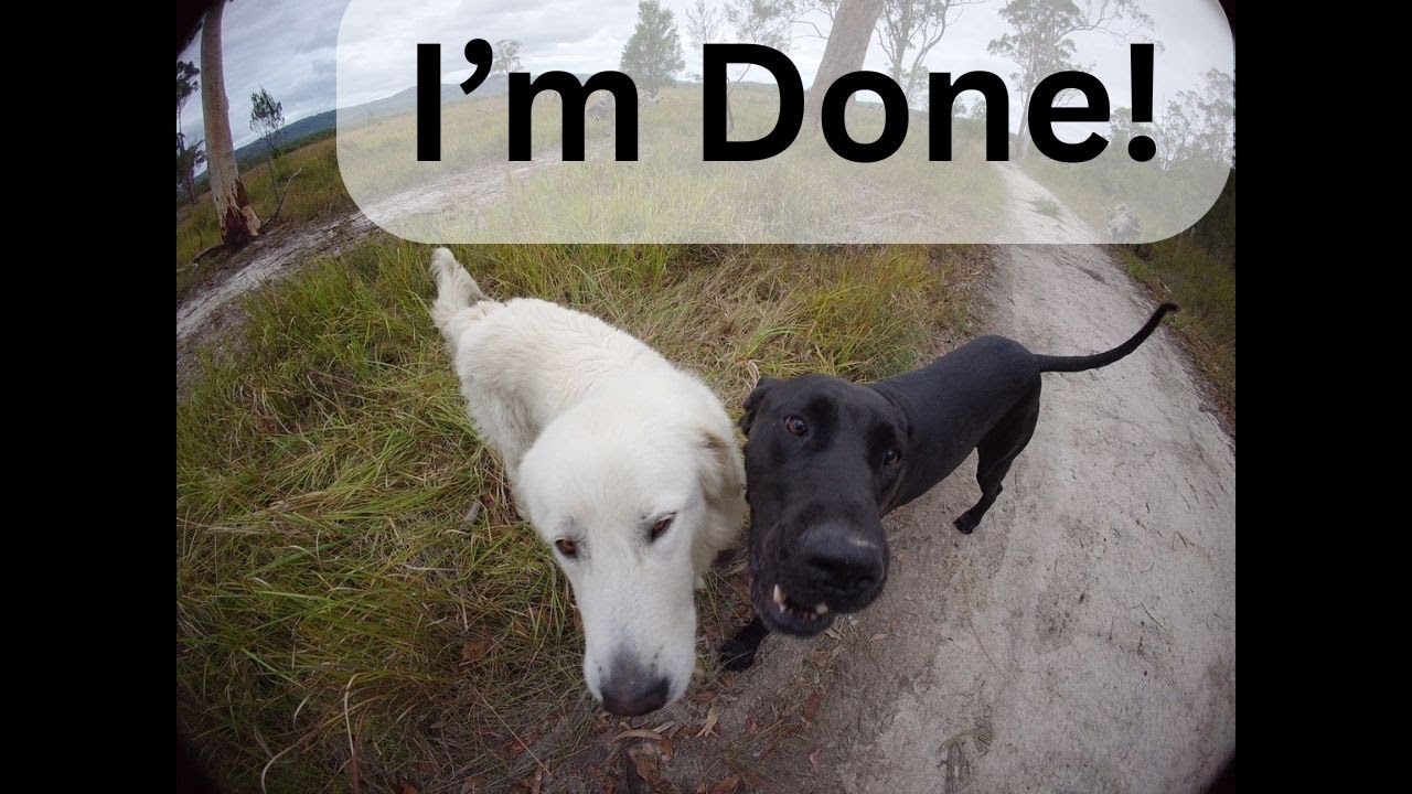 I'm Done! ... With petrol engines