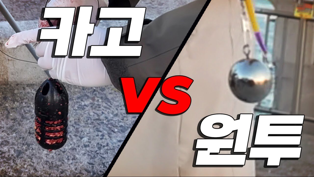 카고낚시와 원투낚시 중 어디서 고기가 더 잘잡힐까?