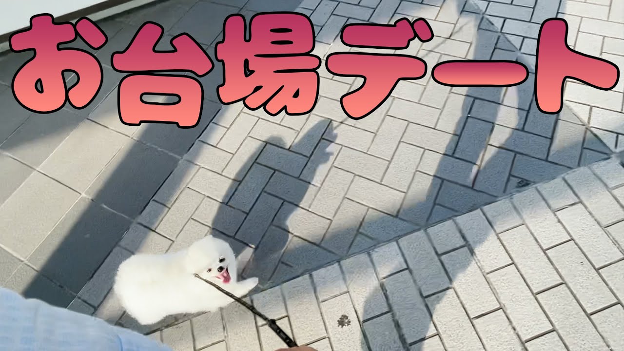 結婚できない39歳初めてのお台場デート