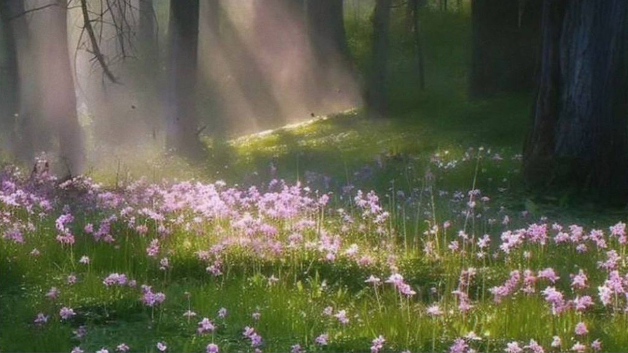 a spring playlist to romanticize your mornings 🌿 (study / read / write)