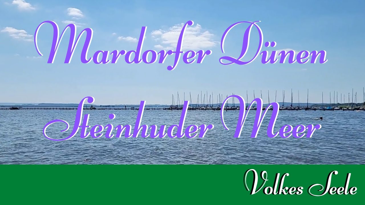 Am Mardorfer Strand am Steinhuder Meer #volkesseele #steinhudermeer