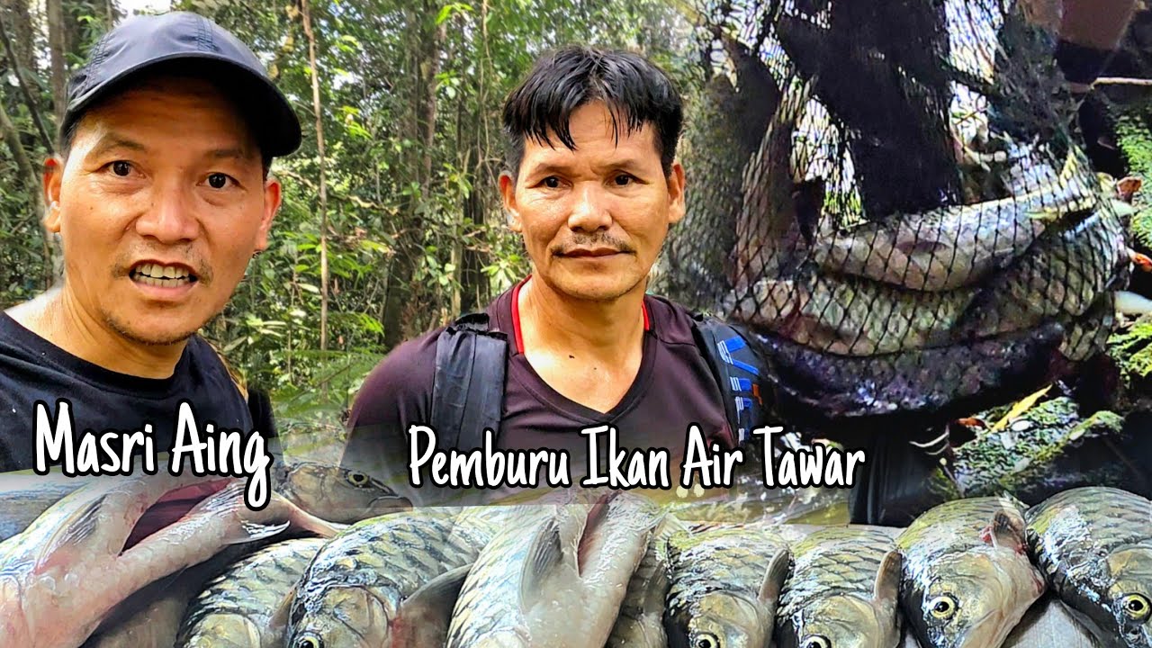Rezeki Tahun Baru Cina, Dapat Angpau 🧧