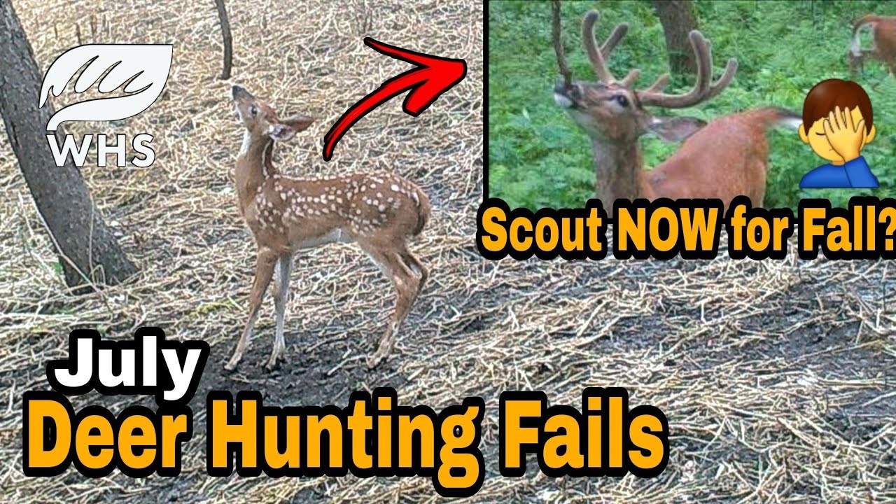 July Deer Hunting Fails