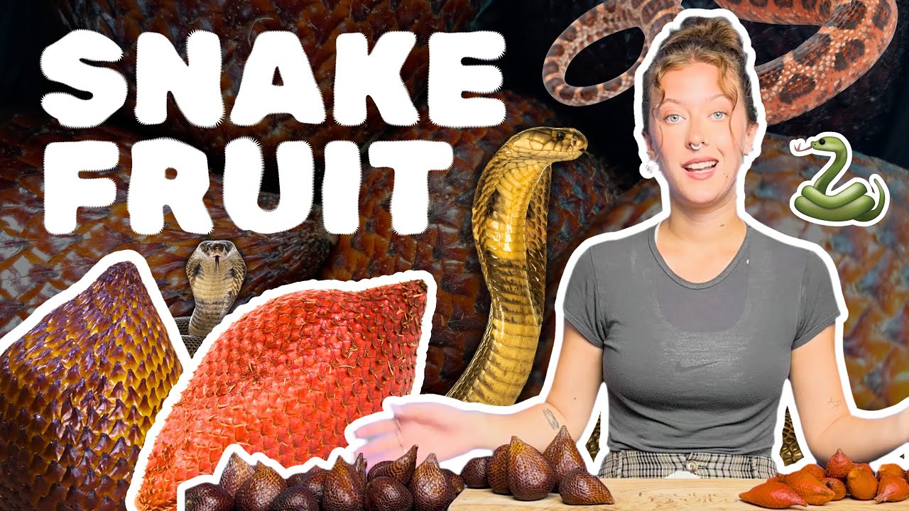 SNAKE FRUIT! A Deep Dive Into Indonesia&rsquo;s Most Unique Fruit