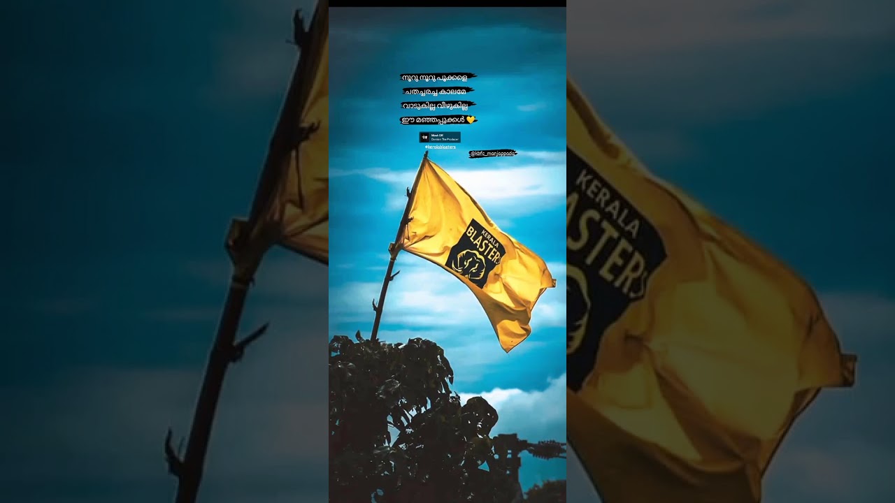 #yennum yellow | whats app | status