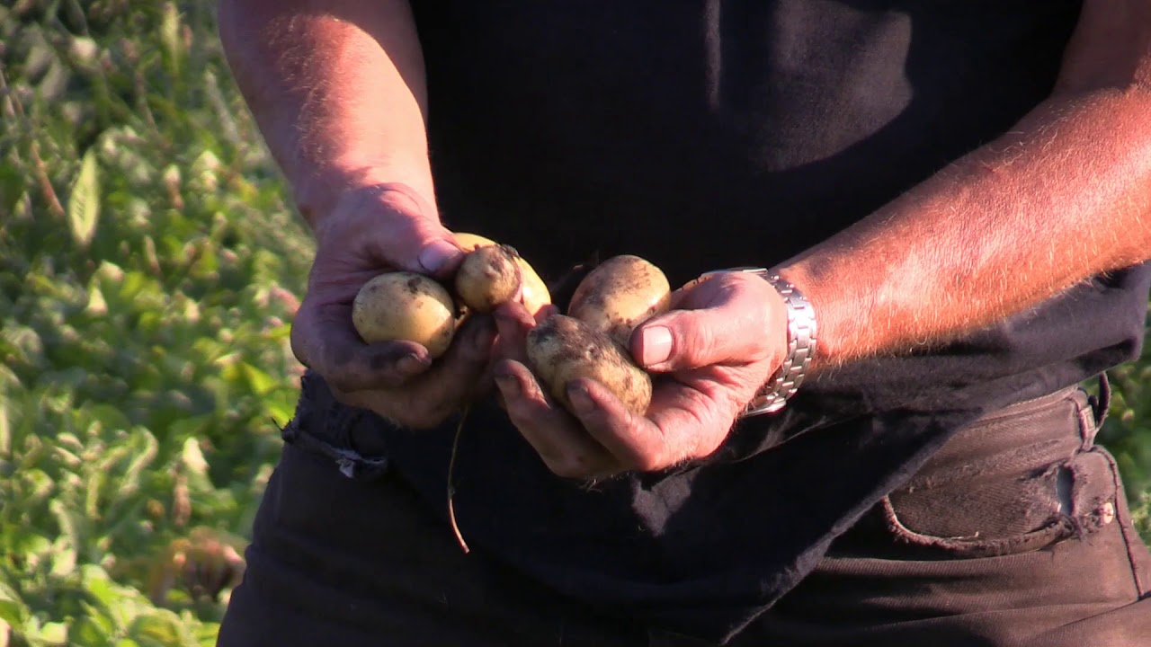 Bes&oslash;g p&aring; biodynamisk landbrug