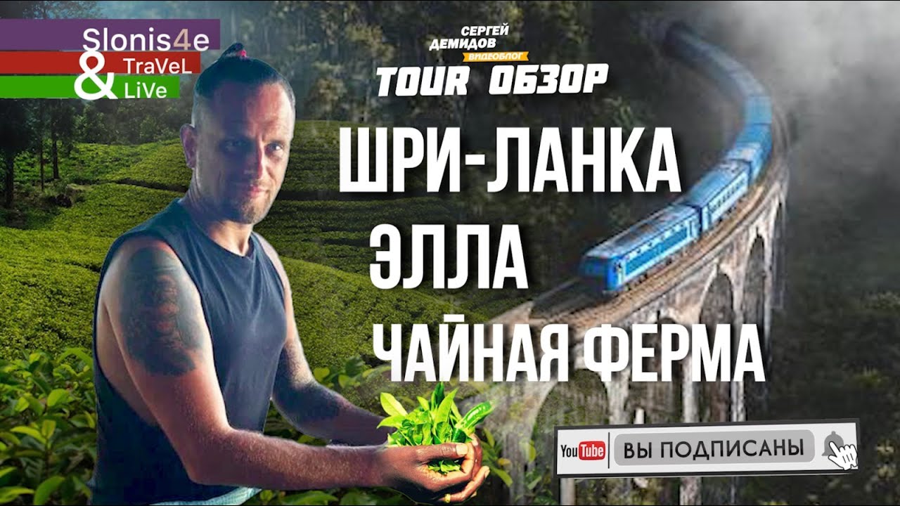 Экскурсии на о.Шри-Ланка. Элла и чайная ферма