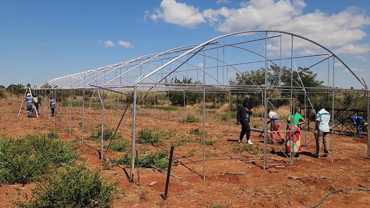 Gusu Greenhouse and Crop Update