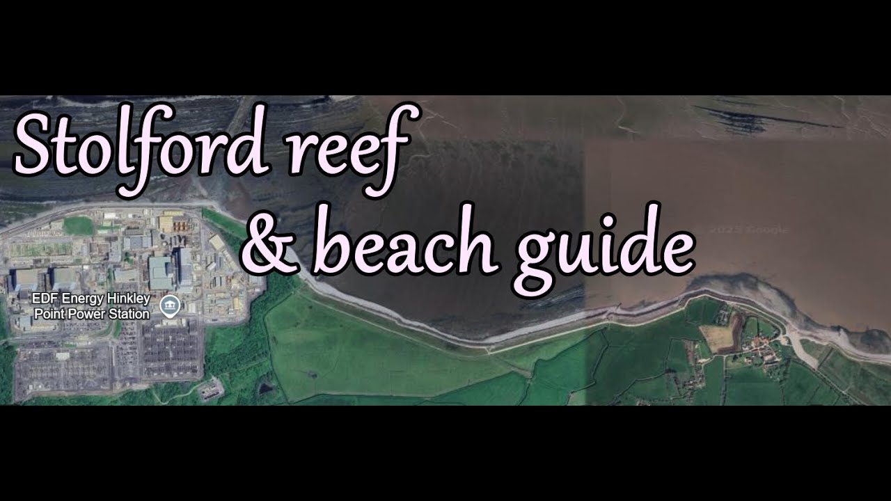 Stolford beach & reef system Quick Shore Fishing Guide — UK #seafishing #seafishingvideo 