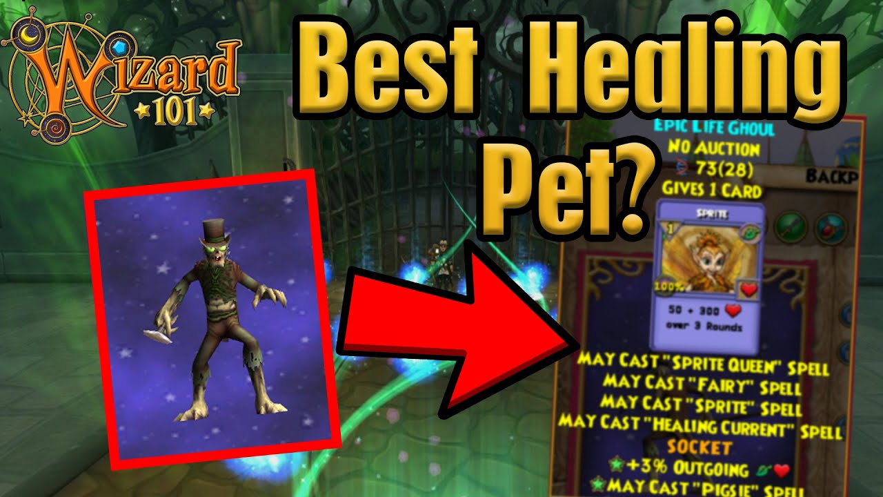 My REALLY good healing pet (Wizard101)