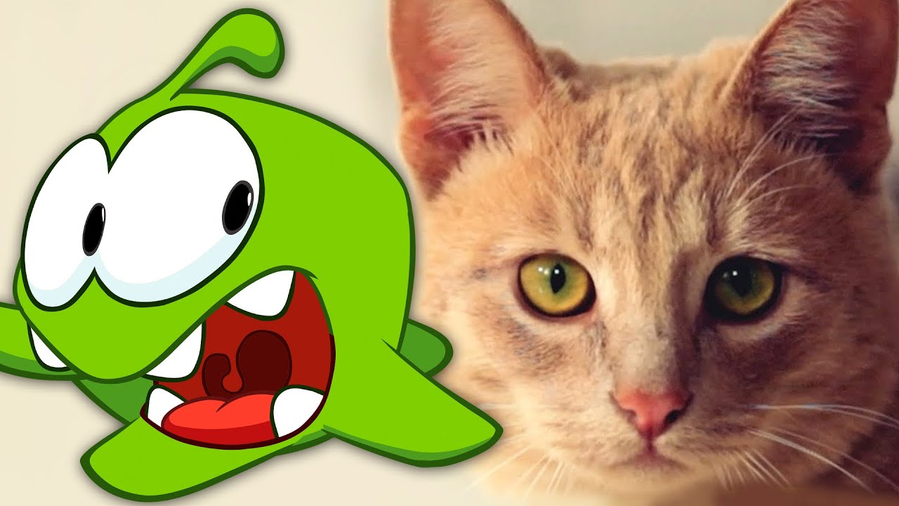 Historias de Om Nom | Om nom y gato | Dibujos animados divertidos para niños