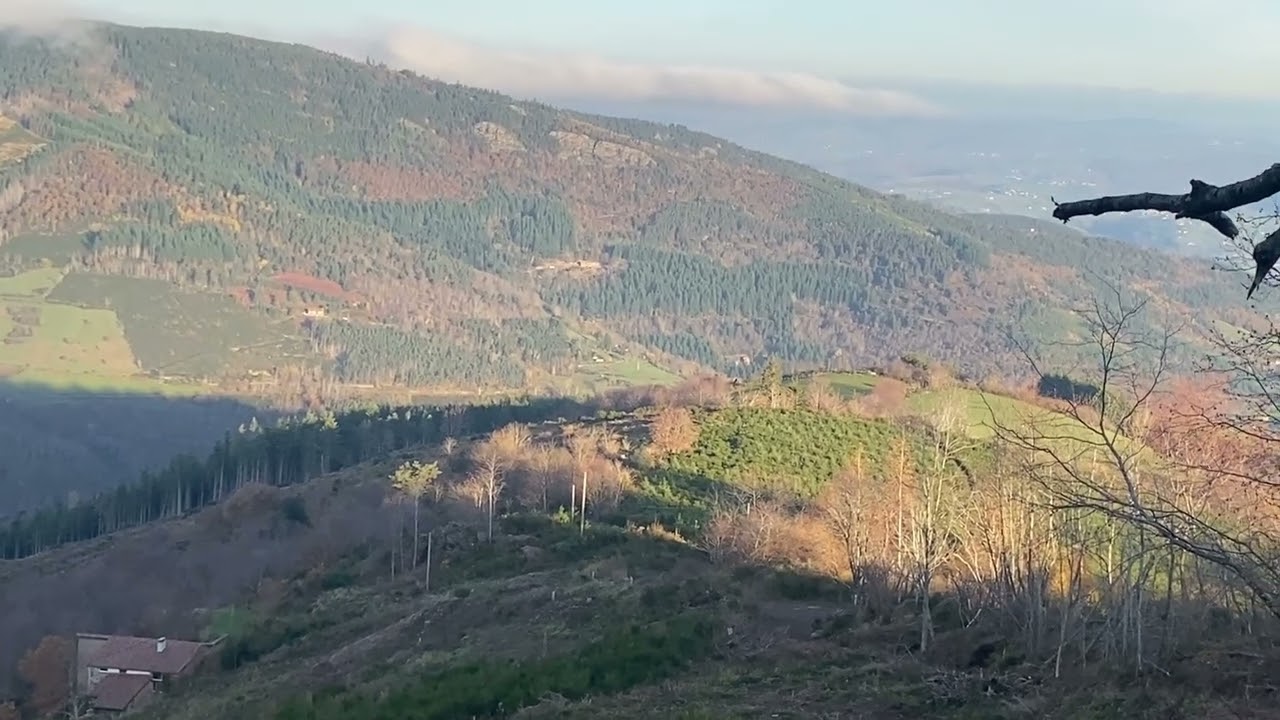 Novembre 25 dans la voie du lièvre aux chiens courants