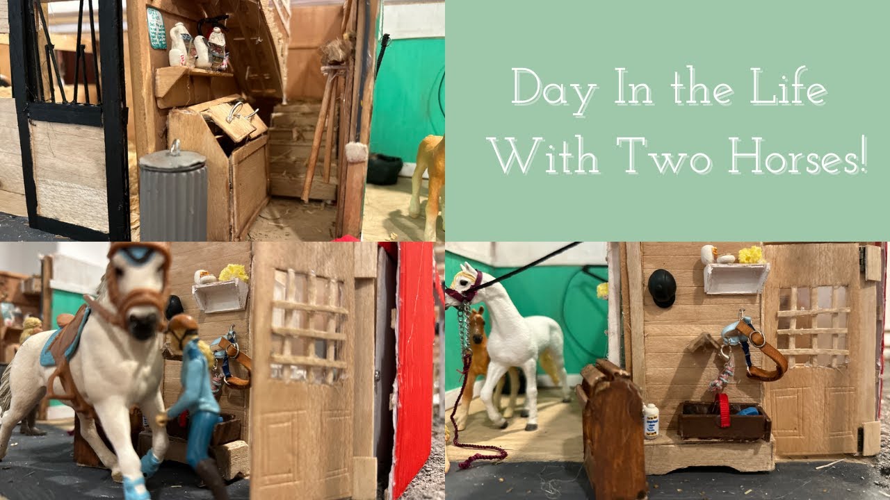 Day in the Life Vlog! | Jessie's Vlogs | Schleich Horse Realistic Roleplay Series |