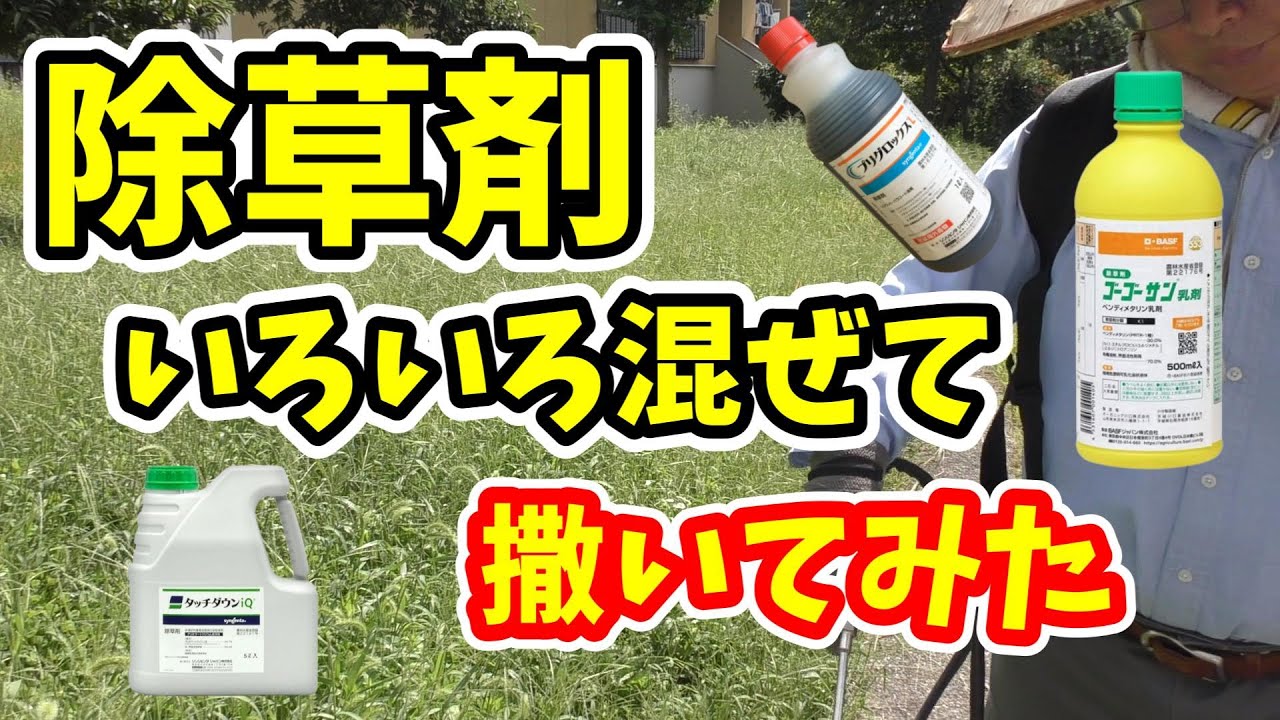 【比較動画】除草剤いろいろ混ぜて撒いてみた！