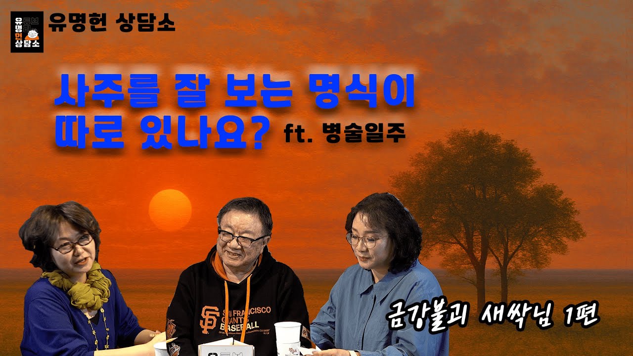 [유명헌 상담소] 토가 많은 병화일주 특징