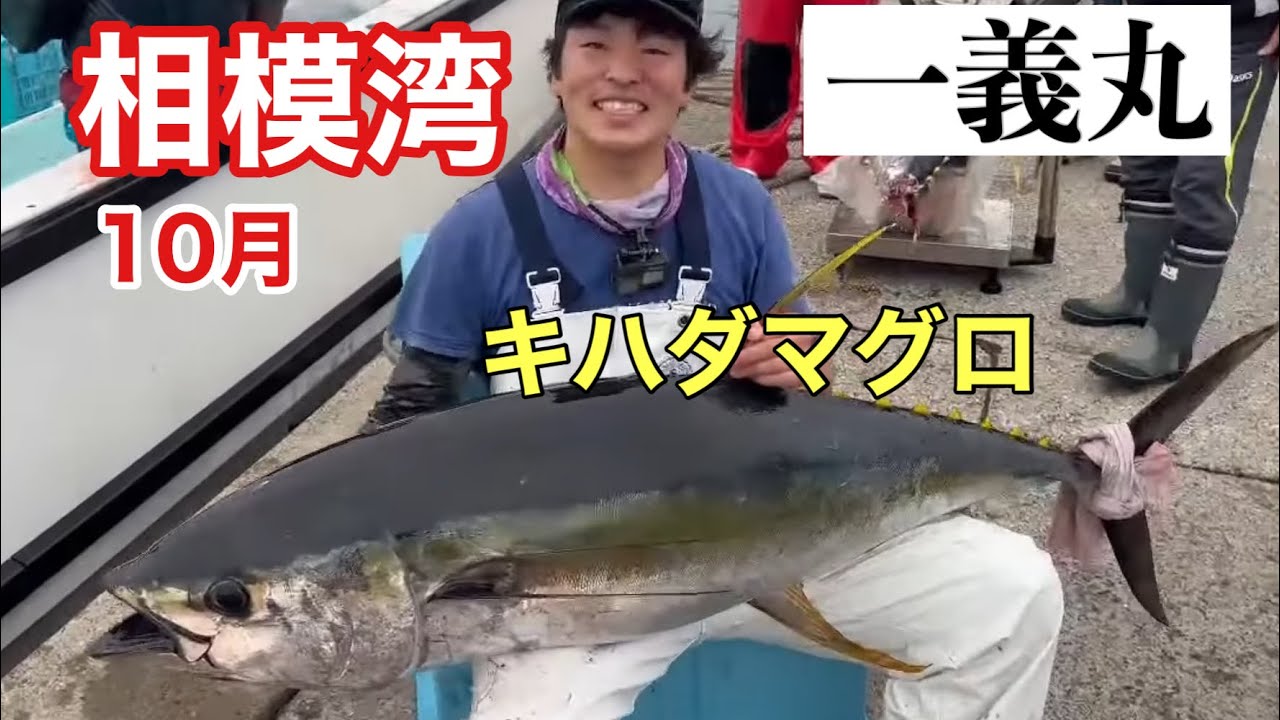 【コマセキハダマグロ】人生初！2025相模湾コマセキハダマグロ★キハダGET！【一義丸】2025/10/13