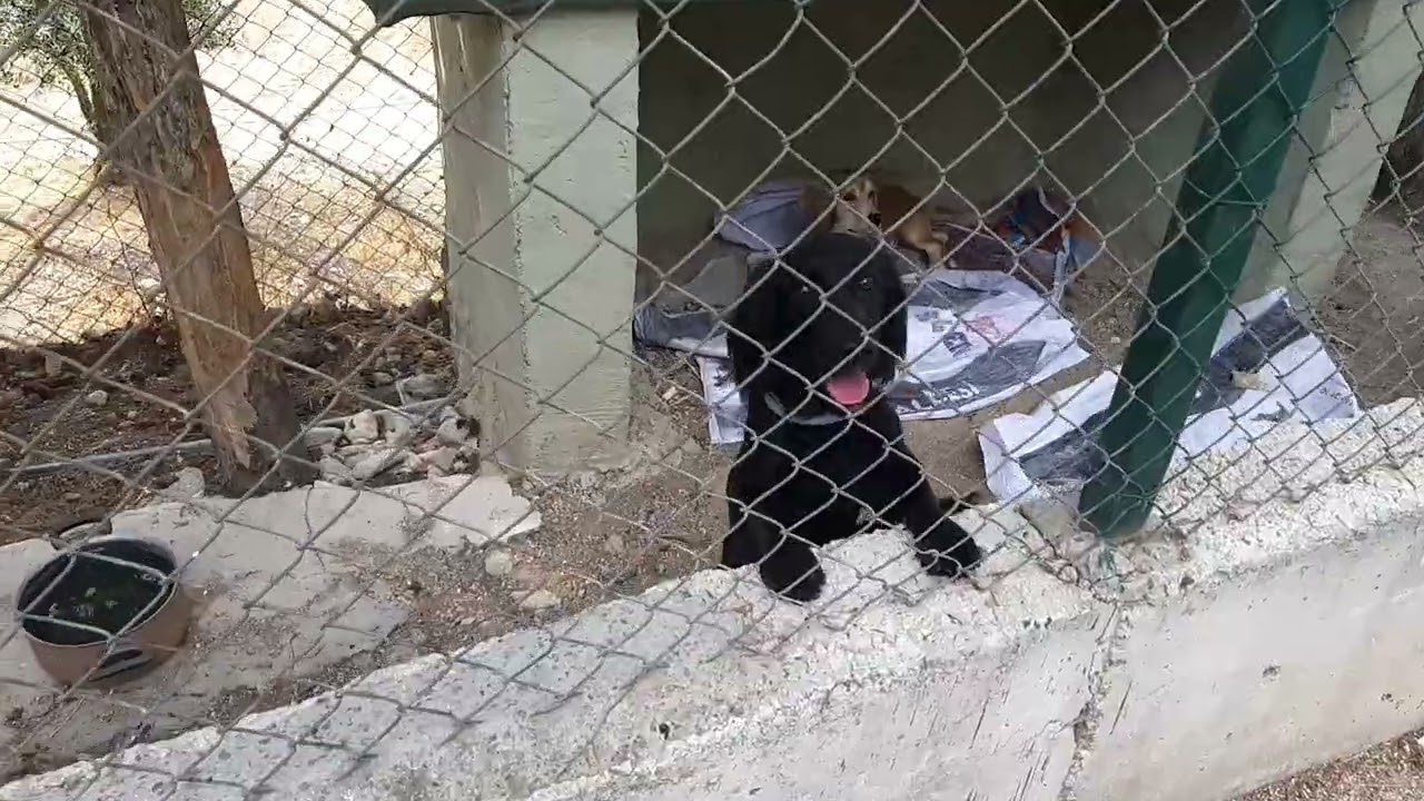 Leylek köy evi karacabey