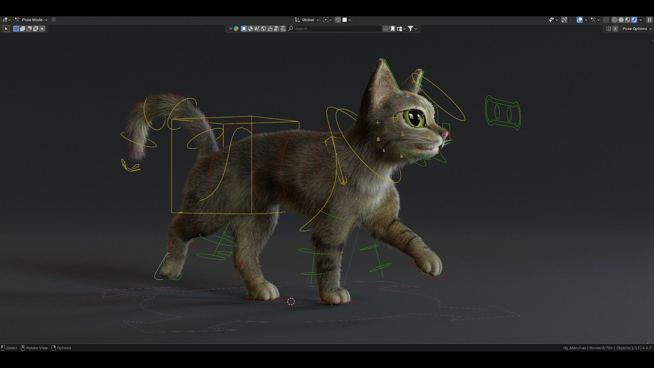 Cat Rig Blender Rigging Test Blender