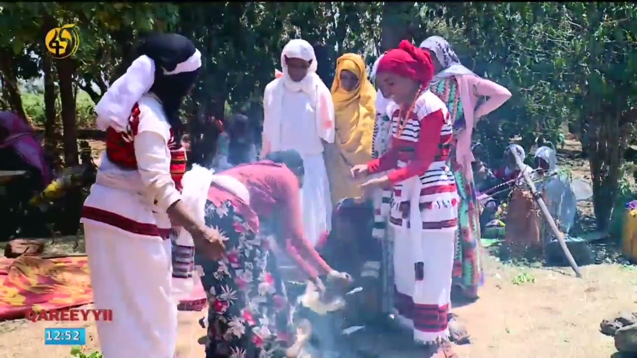 Haala Qophii Marqaa Nyaata Aadaa Oromoo Baalee