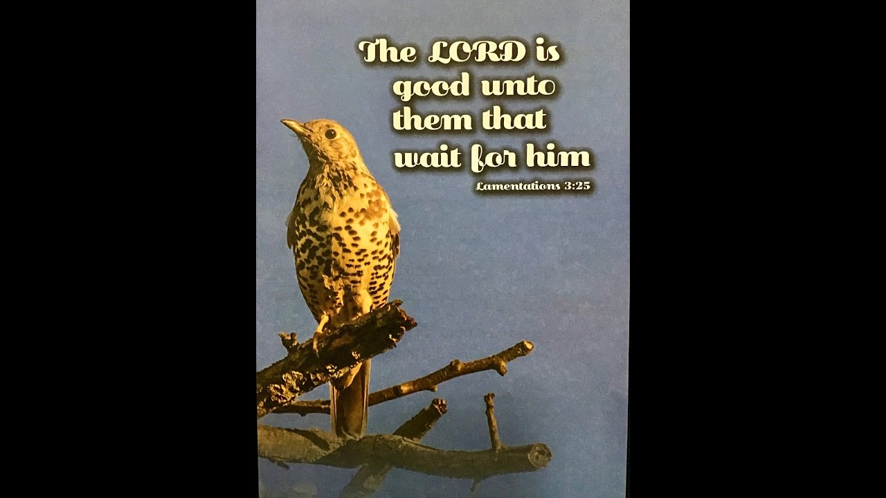Fruita Faith Baptist Church