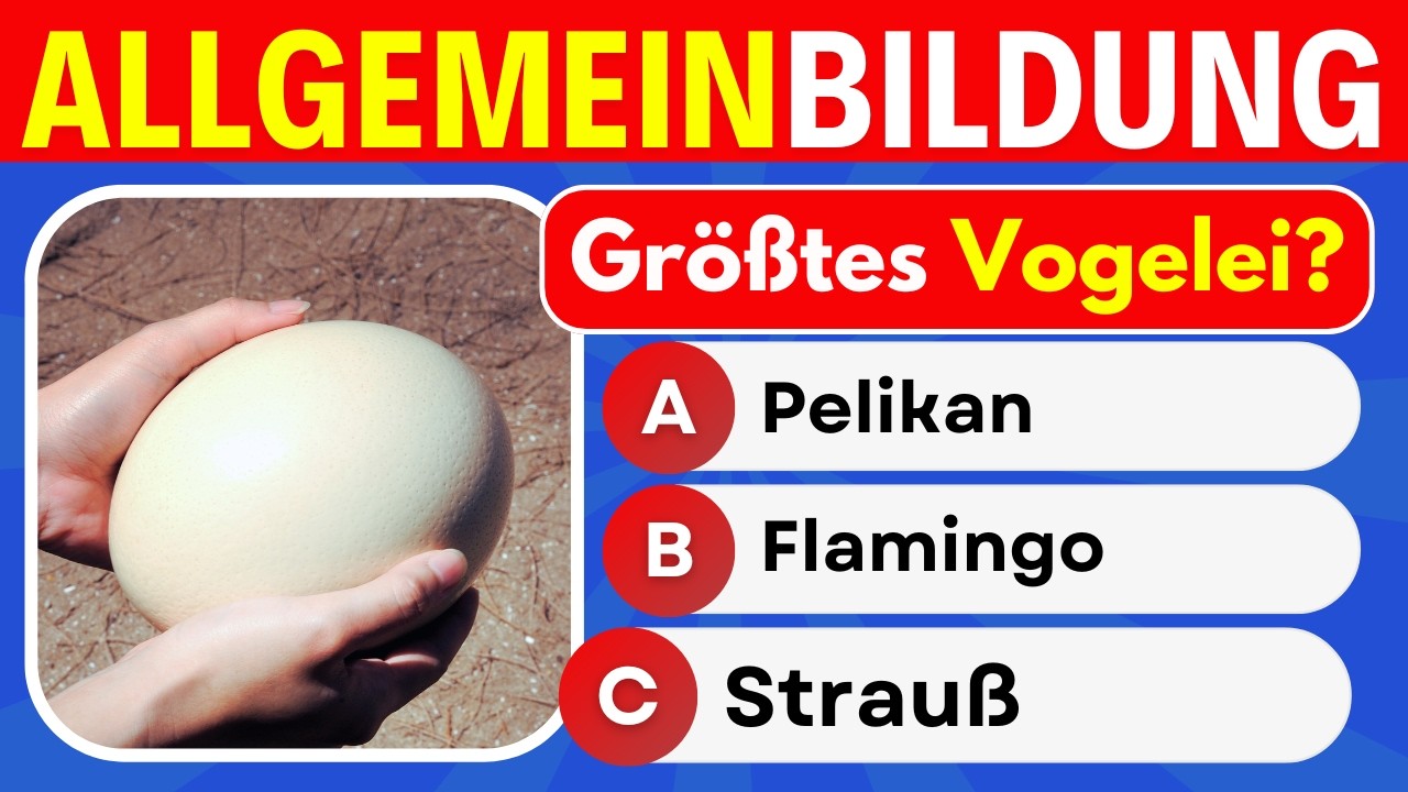 Allgemeinwissen Quiz: 30 Fragen für mehr Allgemeinbildung