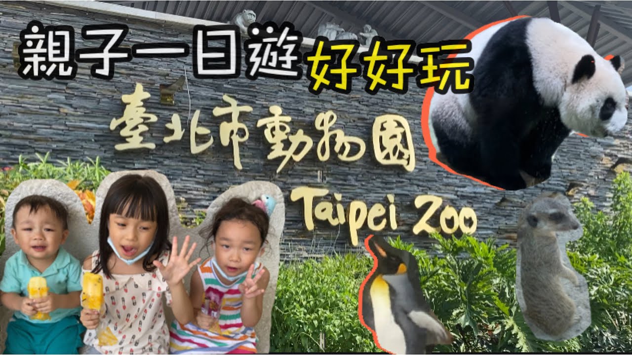 臺北市立動物園｜木柵動物園｜親子ㄧ日遊｜一起出遊去看動物｜認識動物