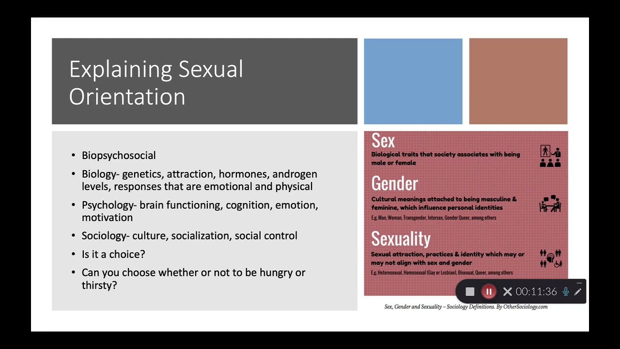 SOCIAL PROBLEMS LECTURE: SEXUAL ORIENTATION