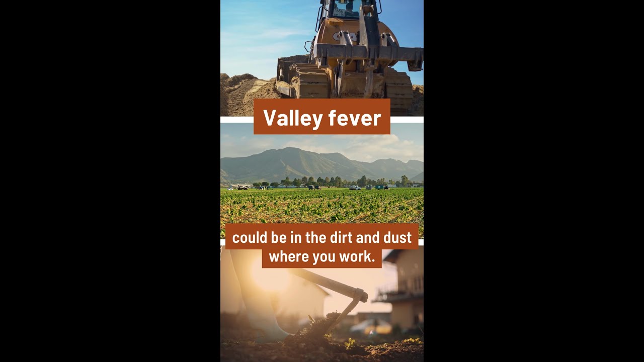 Reduce the Risk of Valley Fever