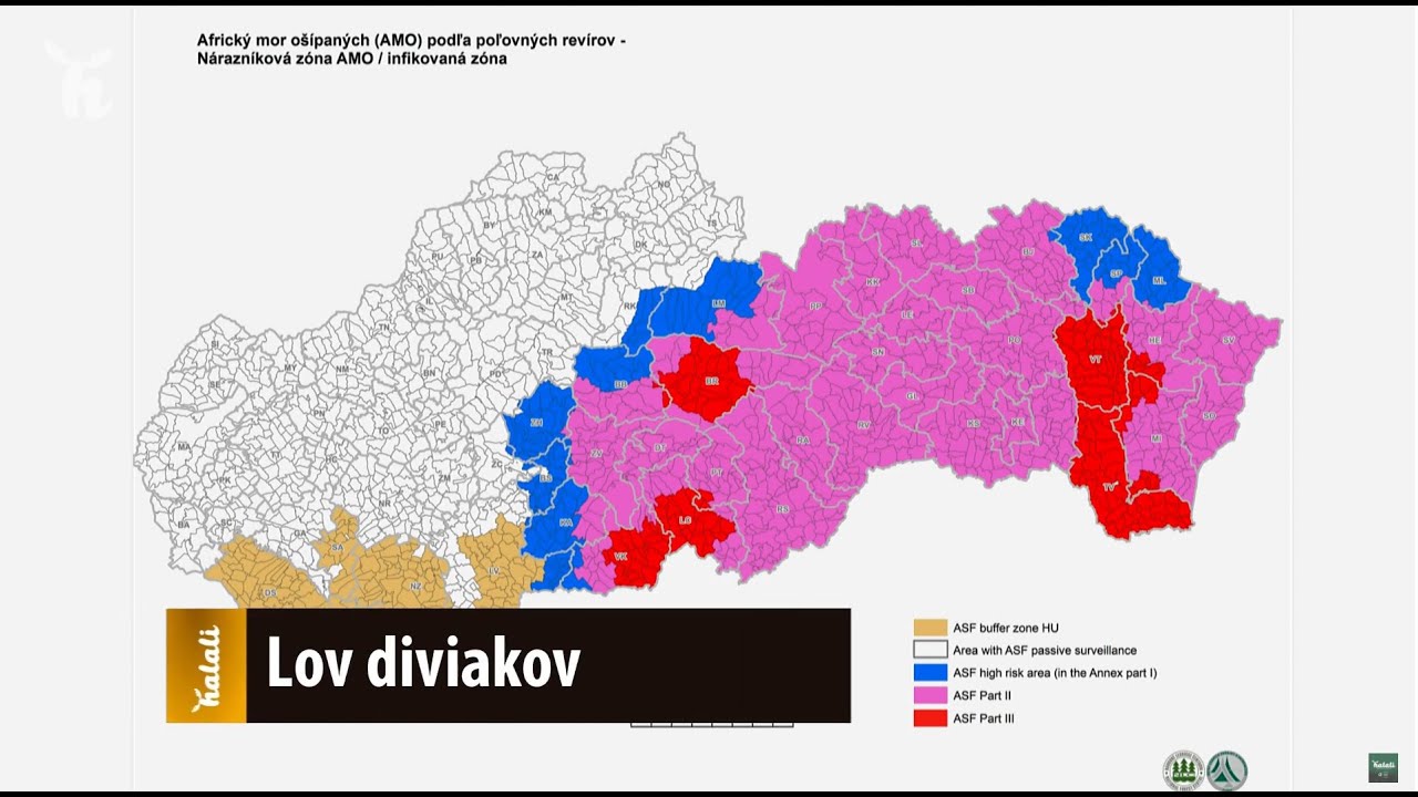 Lov diviakov