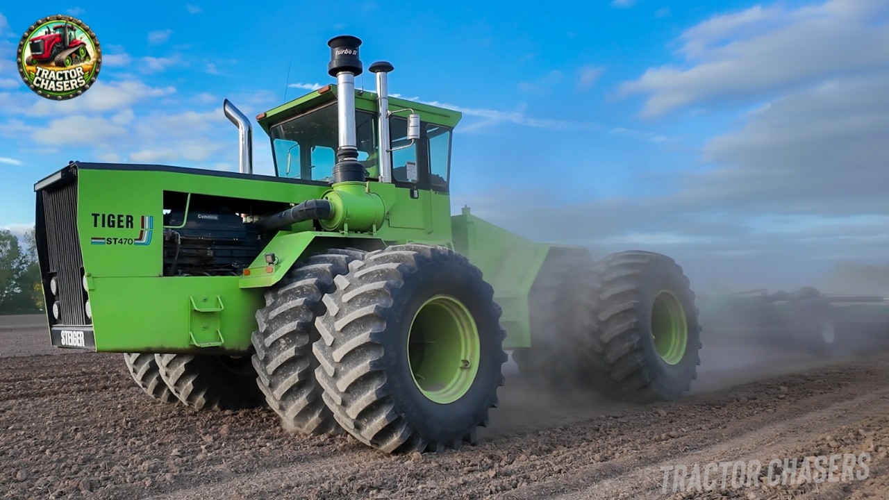 He Bought It On a Whim, No Regrets!  STEIGER TIGER