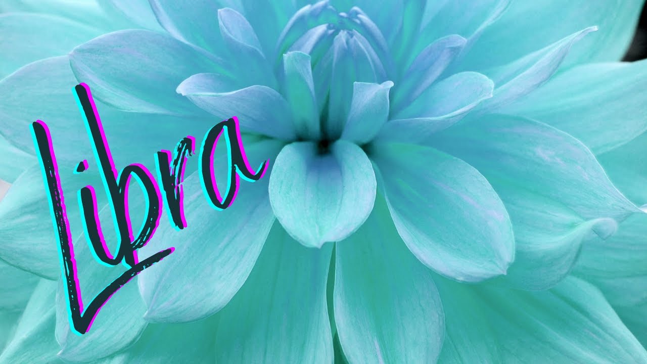 Libra💙Wow! This Is Your Soulmate/Twin Flame🌱Obstacles Being Removed-Marriage/Commitment💙You V. Them